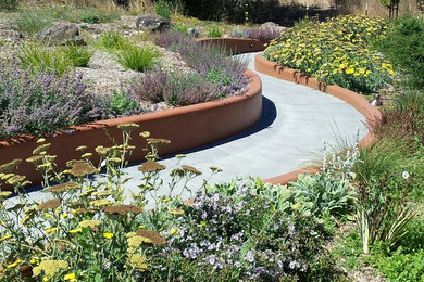 This is an example of a mid-sized eclectic full sun backyard concrete paver landscaping in San Francisco.