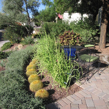Happy Together!  Colorful Desert Plant Combinations