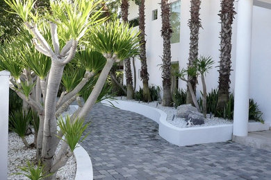 マイアミにある中くらいなトランジショナルスタイルのおしゃれな庭 (レンガ敷き) の写真
