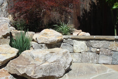 Design ideas for a medium sized world-inspired front garden in San Francisco with a water feature.