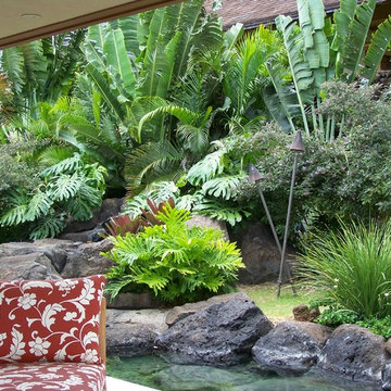 Hawaii Island Landscaping