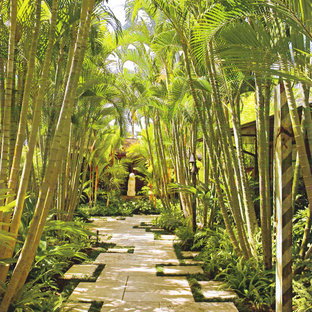 Immagine di un giardino tropicale in ombra