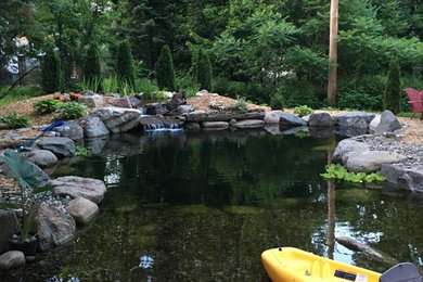 This is an example of a mid-sized contemporary full sun backyard gravel pond in Other for summer.