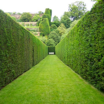 Hedges