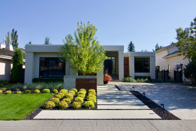 Modelo de jardín contemporáneo de tamaño medio en patio delantero con adoquines de hormigón