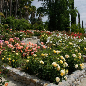 Henry Kroeger's Rose Garden