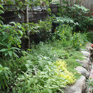Herb garden in raised stone bed