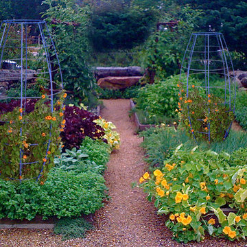 Herb Garden Sculptural Trellis