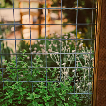 Herb Garden with Steel Mesh Fence