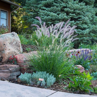 Mittelgroßer, Halbschattiger Moderner Garten im Sommer mit Mulch in Denver