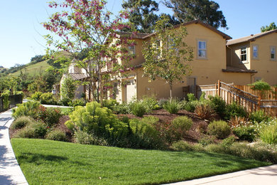 This is an example of a contemporary garden in San Francisco.