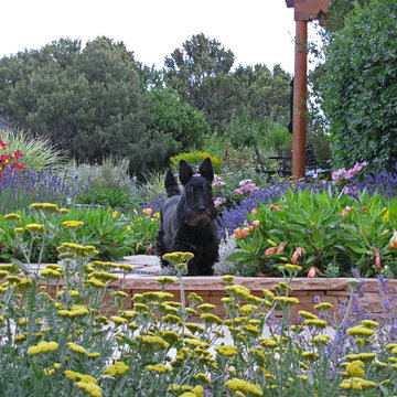 High Country Cottage Garden by Santa Fe Permaculture