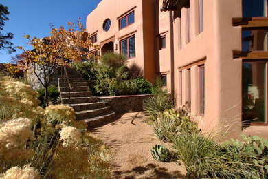 This is an example of a side yard landscaping in Phoenix.