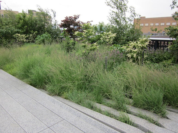 Landscape High Line