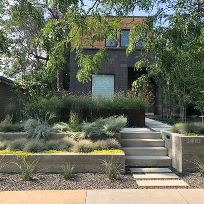 Photo of a contemporary front yard retaining wall landscape in Denver.