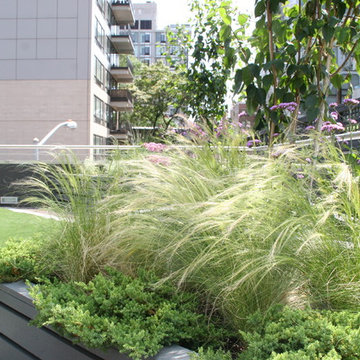 Highline facing roof garden