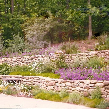 Hill along driveway transformed into butterfly garden