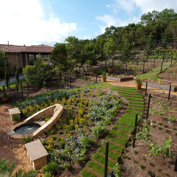 Hill Country Villa Garden