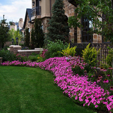 Hill Residence