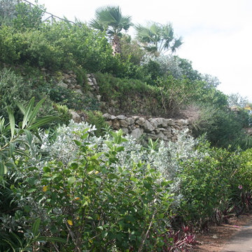 Hillside developed into plush plant beds