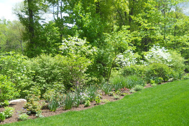 This is an example of a transitional landscaping in New York.