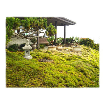 Hillside Japanese Garden