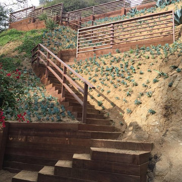 Hillside landscape and front yard