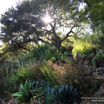 Hillside Landscape Sanctuary in Northern California