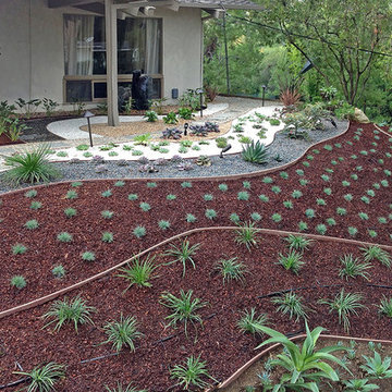 Hillside Landscaping Ideas--Mulch & Bender Boards