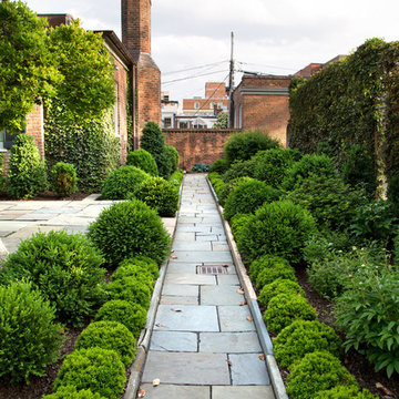 Historic Boxwood Restoration