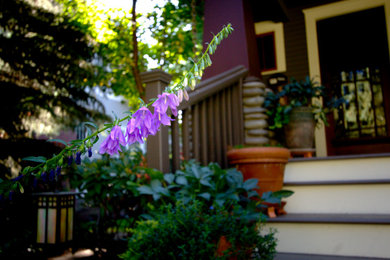 This is an example of a craftsman front yard landscaping in Other.
