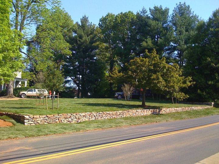 Driveway - Traditional Landscape