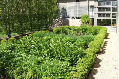 Ejemplo de jardín minimalista de tamaño medio en patio lateral con exposición total al sol y gravilla