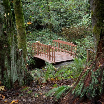 Hobbit House Creek Bridge