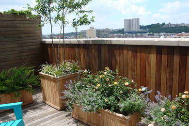 Ejemplo de jardín contemporáneo con jardín de macetas, exposición total al sol y con madera