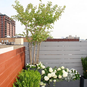 Hoboken Rooftop Garden