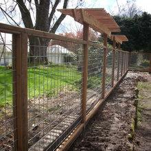 Fence for vines