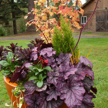 Holiday Container Gardens