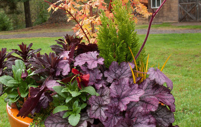 5 Container Gardens for Fall, the Holidays and Beyond