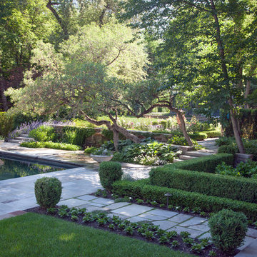 Garden And Pool