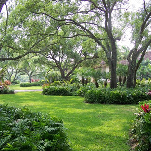 Front Yard Landscaping Orlando Fl | Houzz