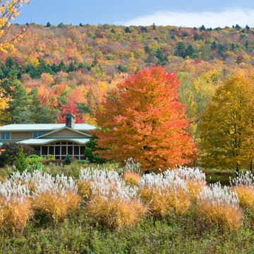 HOME IN A MEADOW