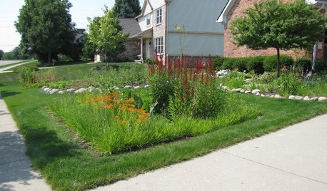 How to Shape a Rain Garden and Create the Right Soil for It