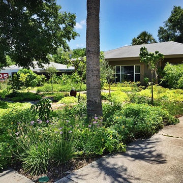 Homegrown Paradise in Palm Harbor, FL