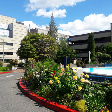 Hospital walkway garden