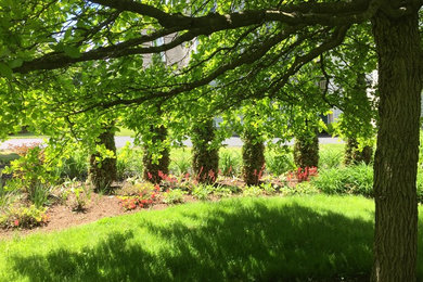 マンチェスターにあるお手頃価格の中くらいなトランジショナルスタイルのおしゃれな庭 (半日向) の写真