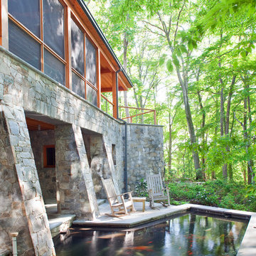 House in the trees