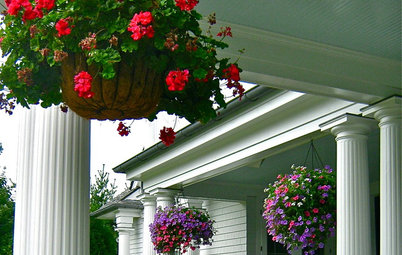 Get the Hang of Hanging Flower Baskets