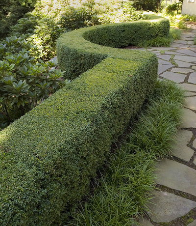 Mediterran Garten by Liquidscapes