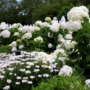 Hudson Valley White Flowering Garden